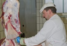 Schlachthof Fließ nimmt nun konkrete Formen an