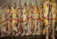 Gastro-Lockdown drückt massiv auf Fleischmärkte