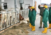 Agrarschulen: Heuer virtuell besuchen und online erkunden