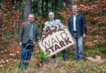 Die Steiermark macht den „Wald:Stark“
