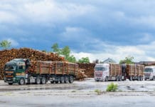 Bundesforste testen erstmals kontaktlose Holz-Logistik