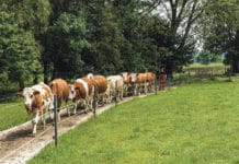 Rechtssicherheit durch längere Übergangszeit