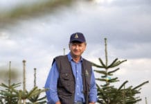 Christbaumkultur: Ein Hektar braucht 14 Manntage Pflege und Ernte