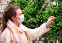 Oö. Christbäume sind gefragt wie eh und je