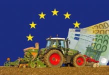 EU-Gipfel: Budget fixiert, weiter Sanktionen gegen Russland