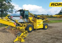 Kartoffelmaus 5 verladet Stärkekartoffeln