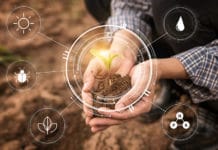 Komplexe Zusammenhänge verständlich erklären