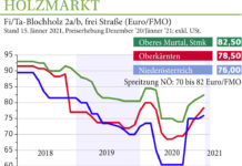 Holzmarkt Jänner 2021: Sägerundholz knapp, Preise steigen
