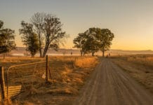 Südafrika: Morde an Farmern steigen wieder an