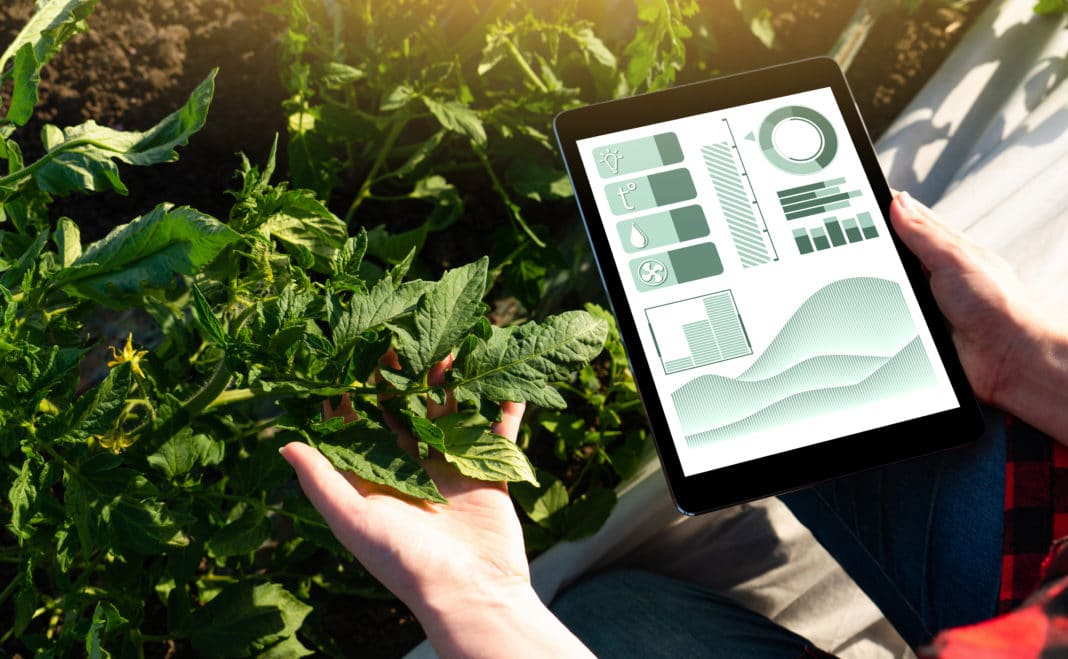 Farmer With Digital Tablet. Smart Farming And Precision Agriculture 4.0