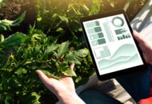 Neuer Master-Studiengang soll ab Herbst an der FH Steyr starten