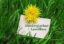 Biolandbau als Alternative für Entwicklungsländer