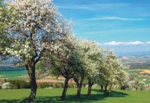 Ein Lebensraum aus Menschenhand Kulturlandschaft