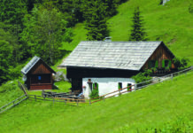 Fachtag „Die Alm in der Krise“