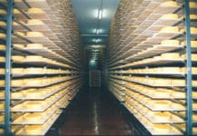 Heimische Milchwirtschaft konnte Exporte steigern