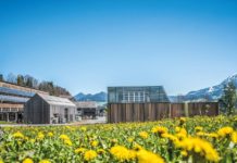 Metzler Käse-Molke wurde Mitglied bei der Arge Heumilch