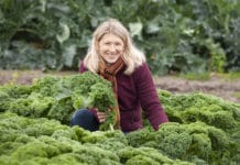 Hochsaison für Wintergemüse bei den Wiener Gärtnern ökologisch und regionales Wintergemüse