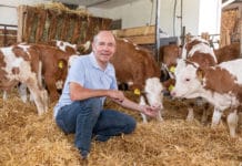 Einstimmiger Beschluss für Kälberprämie