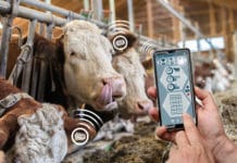 „Digitale Heinzelmännchen“