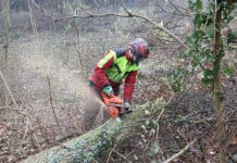 Die NÖ Landarbeiterkammer stellt sich ihren vielen Aufgaben Die NÖ Landarbeiterkammer blickt auf ein herausforderndes Jahr zurück.