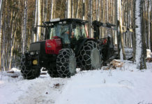Waldfonds: Förderanträge ab 1. Februar möglich
