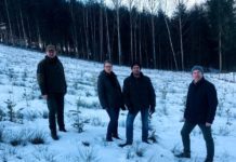 Waldfonds: Gesetz als Lichtblick für Eigentümer