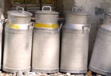 Investitionszuschuss für Melk-, Kühl- und Tränketechnik