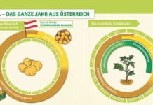 Erdäpfelbauern fordern jetzt vom Handel volle Solidarität