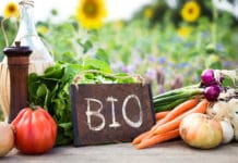 Bio wird als Kaufkriterium immer wichtiger Gemüse