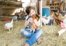 Landwirtschaft im ethischen Spannungsfeld