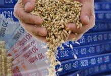 FAO: Preiszuwächse bei Zucker, Getreide und Pflanzenölen