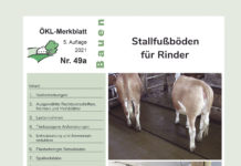 Im Fokus: Stallfußböden für Rinder