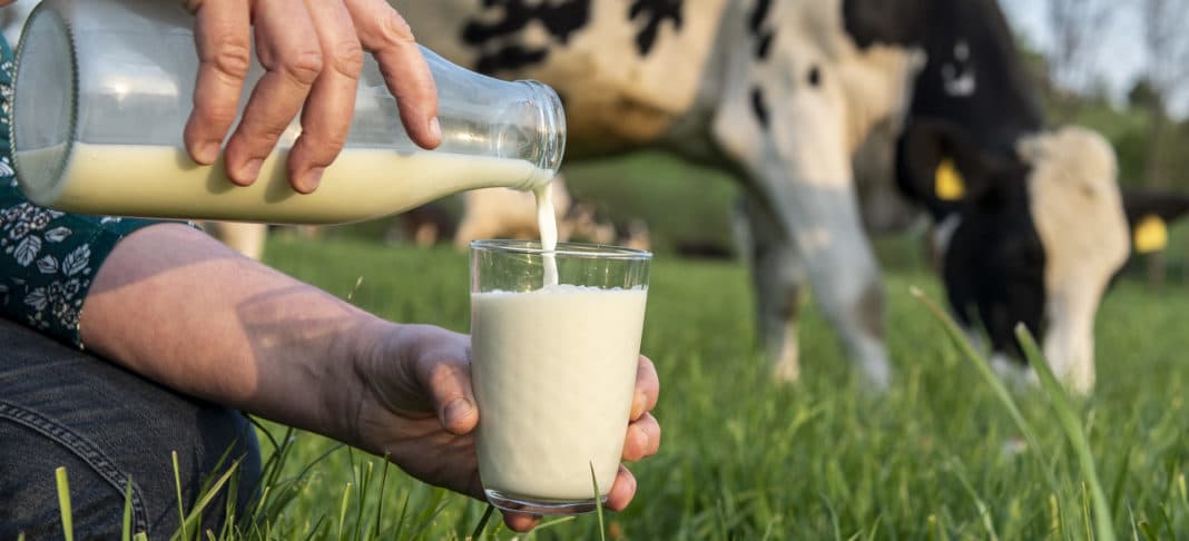 Trinkmilch 26 ID90439