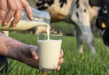 „Herkunftskennzeichnung in vollem Umfang umsetzen“