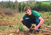 Waldfonds: Anträge sind seit einem Monat möglich