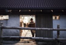 Tiroler Bio-Landwirtschaft stark betroffen