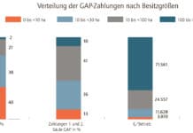 „Es braucht mehr Aufmerksamkeit für die kleinstrukturierte Landwirtschaft“