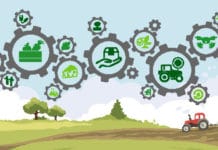 Innovationspotenzial finden