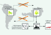 ÖVP plädiert für mehr Klimaschutz im Tank