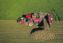 2020 brachte Rekordertrag für OÖ. Rübenbauern