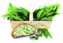 Bärlauch: Frühlingsbote mit feiner Knoblauchnote