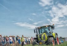 Biofeldtage am Landgut Esterhazy starten am 6. August