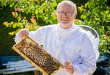Sag „Ja“ und trag Verantwortung zum Schutz der Bienen und Wildbienen Josef Niklas