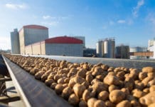 Agrana-Kartoffelstärke Gmünd fuhr Rekordkampagne