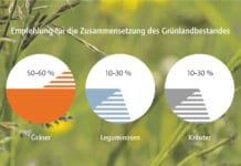 Grünland: „Es braucht einen optimal zusammengesetzten Pflanzenbestand“