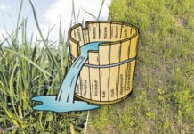 Grünland: „Konkurrenz ist alles“