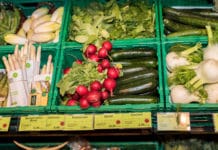 EU legte Bio-Aktionsplan vor