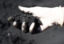 Das neue schwarze Gold: Holzkohle