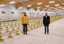 Ein Schritt von Holland nach Oberösterreich