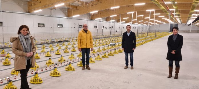 Elterntier Aufzuchtstall LK OÖ Mayringer